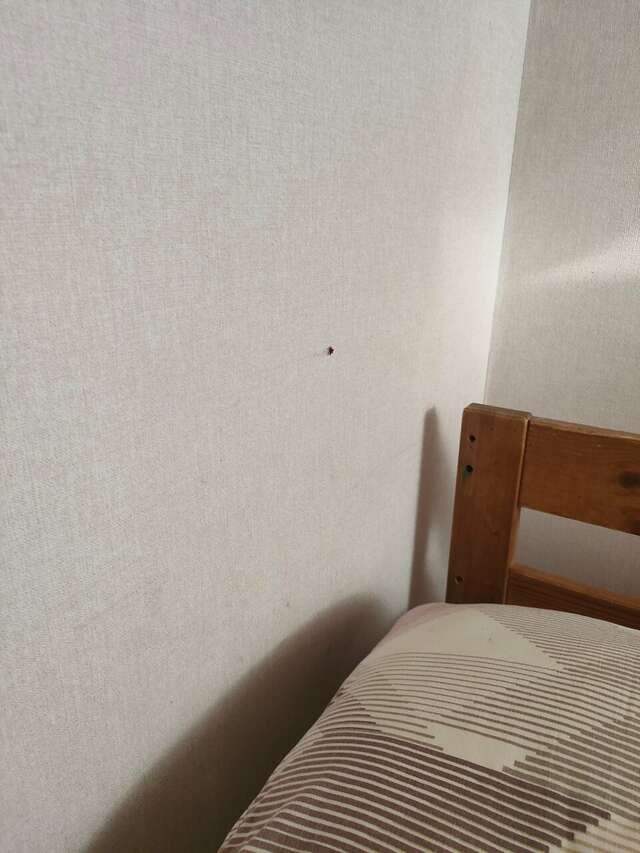 Хостел Green Point Казань-121