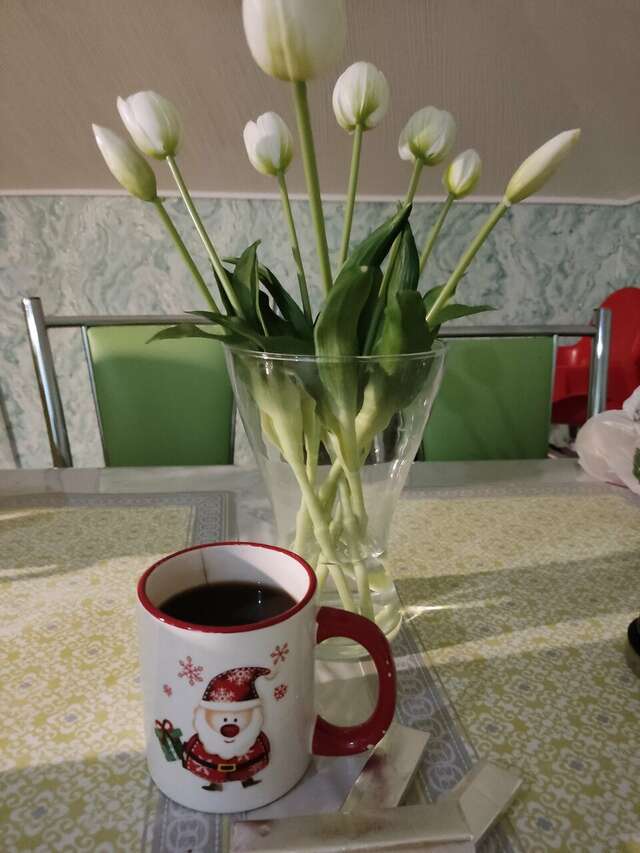 Хостел Green Point Казань-90